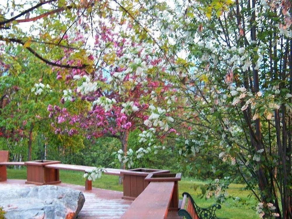 Kapristo Lodge Golden Zewnętrze zdjęcie