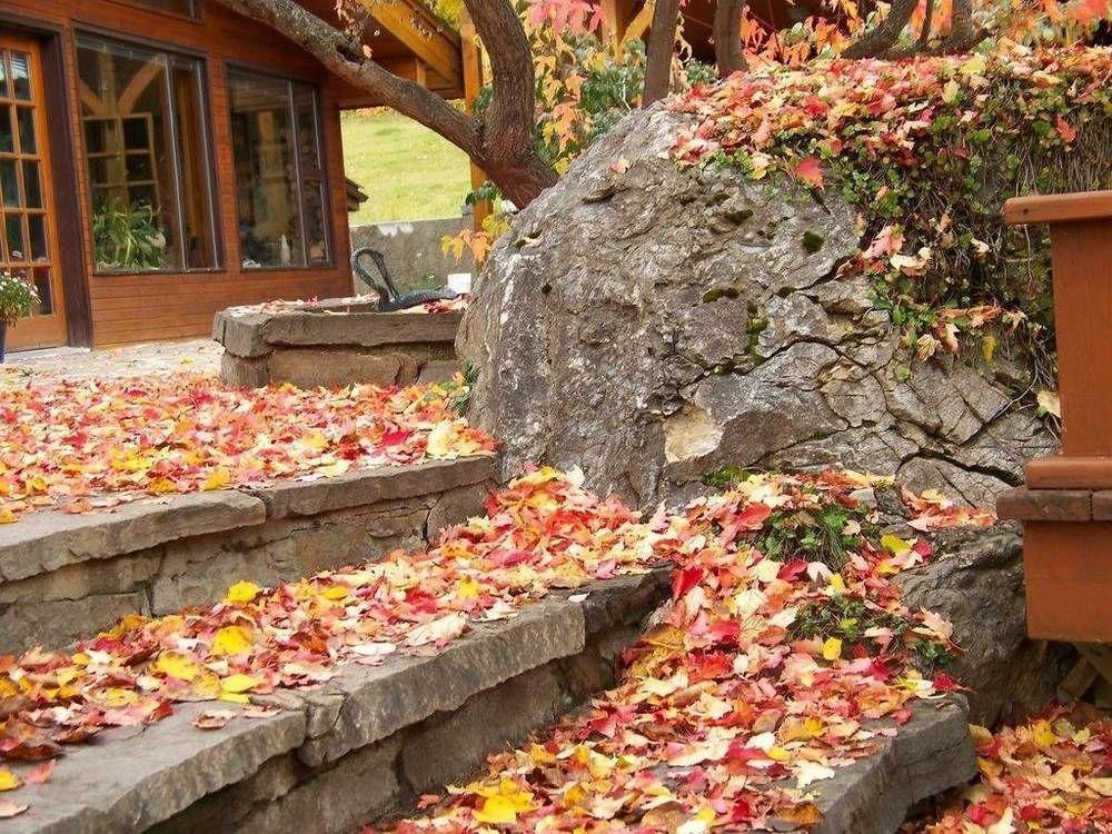Kapristo Lodge Golden Zewnętrze zdjęcie